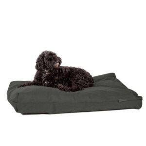Danish Design Hundeseng Antibacterial Grøn L